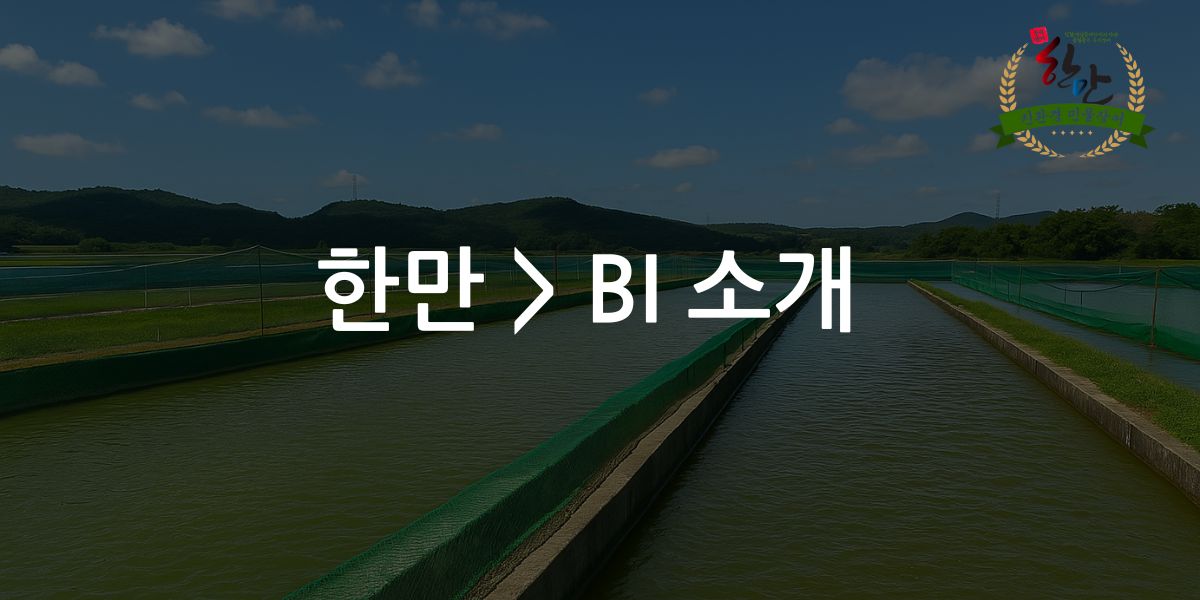 한만 BI 소개